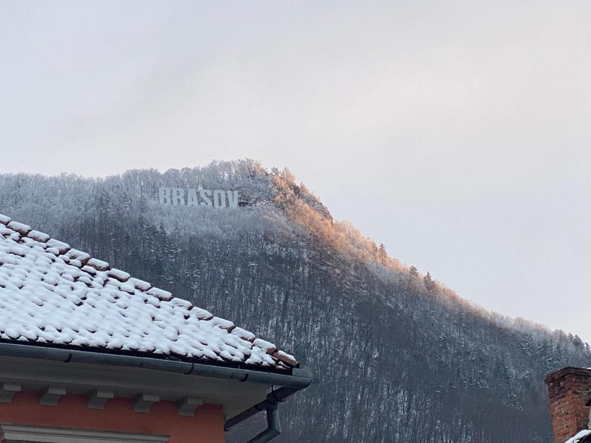White Moon Apartment Braşov Dış mekan fotoğraf